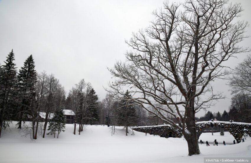 Праздник Масленицы в Усадьбе "Василёво", часть третья | Бэйбики Праздник Масленицы в Усадьбе "Василёво", часть третья (фото 9)