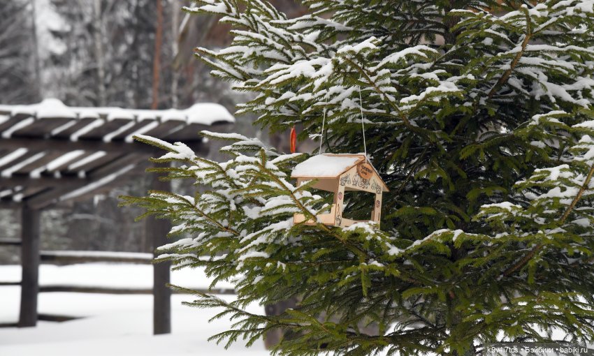 Праздник Масленицы в Усадьбе "Василёво", часть третья | Бэйбики Праздник Масленицы в Усадьбе "Василёво", часть третья