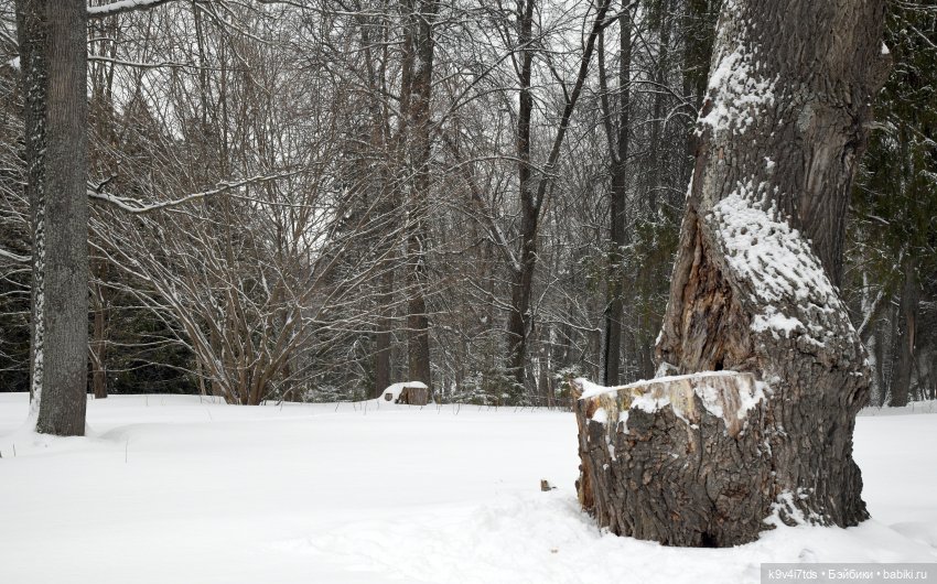 Праздник Масленицы в Усадьбе "Василёво", часть третья | Бэйбики Праздник Масленицы в Усадьбе "Василёво", часть третья (фото 6)