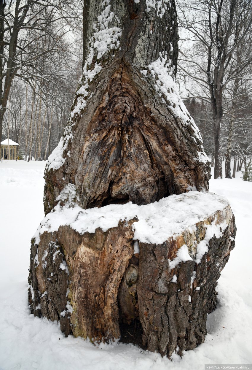 Праздник Масленицы в Усадьбе "Василёво", часть третья | Бэйбики Праздник Масленицы в Усадьбе "Василёво", часть третья (фото 5)