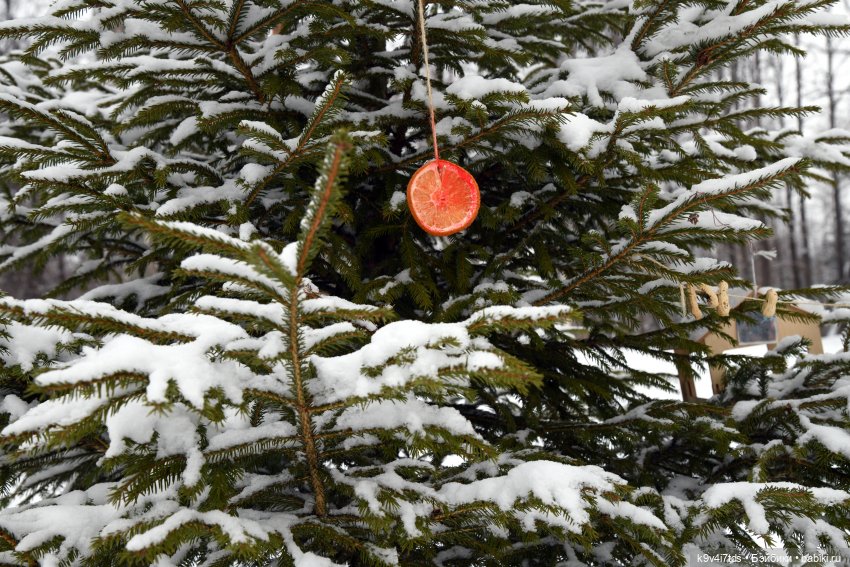 Праздник Масленицы в Усадьбе "Василёво", часть третья | Бэйбики Праздник Масленицы в Усадьбе "Василёво", часть третья