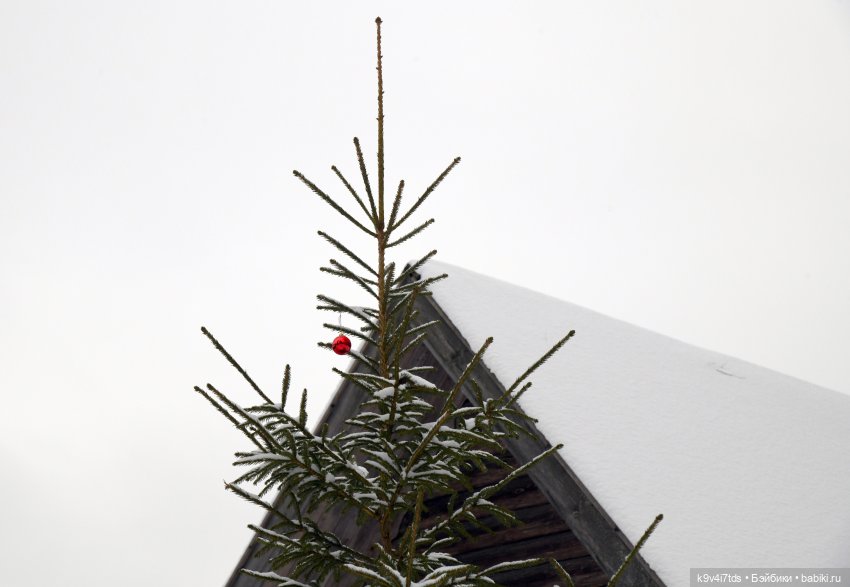 Праздник Масленицы в Усадьбе "Василёво", часть третья | Бэйбики Праздник Масленицы в Усадьбе "Василёво", часть третья