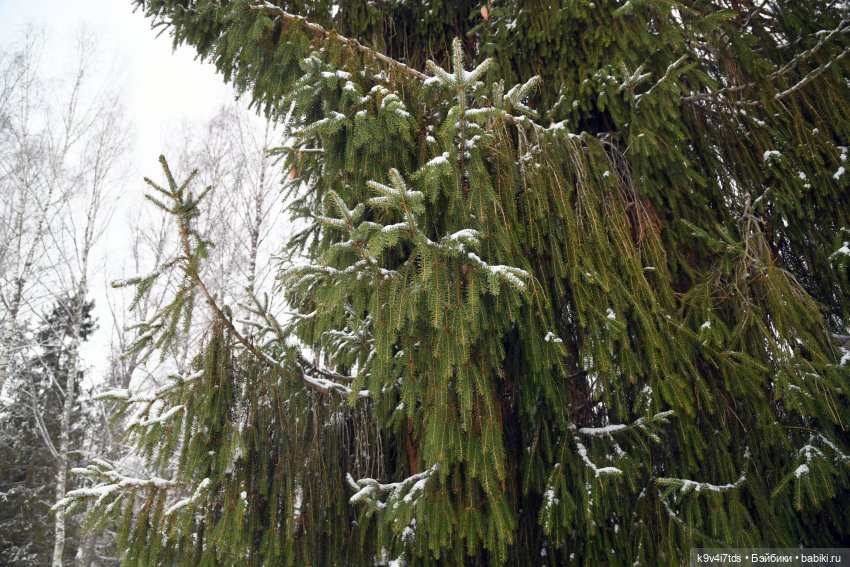Праздник Масленицы в Усадьбе "Василёво", часть третья | Бэйбики Праздник Масленицы в Усадьбе "Василёво", часть третья