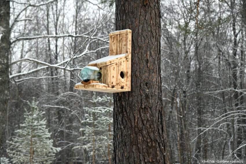 Праздник Масленицы в Усадьбе "Василёво", часть третья | Бэйбики Праздник Масленицы в Усадьбе "Василёво", часть третья