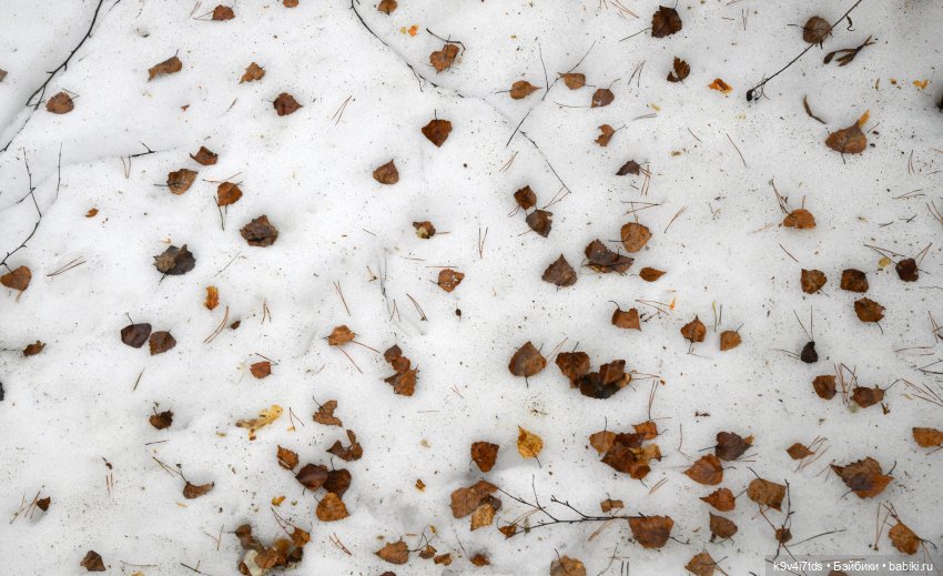 Ледоход на Волге | Бэйбики Ледоход на Волге — Куклы Sylvia Natterer (Сильвия Наттерер): Gotz