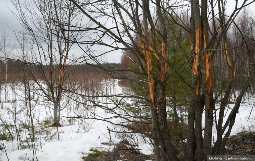 Ледоход на Волге | Бэйбики Ледоход на Волге — Куклы Sylvia Natterer (Сильвия Наттерер): Gotz