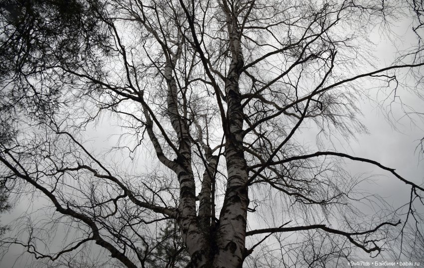 Ледоход на Волге | Бэйбики Ледоход на Волге — Куклы Sylvia Natterer (Сильвия Наттерер): Gotz