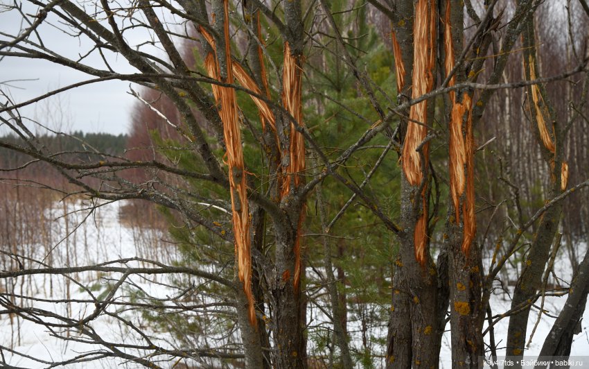 Ледоход на Волге | Бэйбики Ледоход на Волге — Куклы Sylvia Natterer (Сильвия Наттерер): Gotz