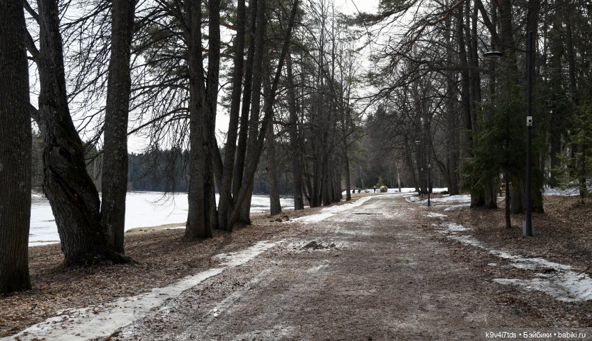 Встреча Весны в Усадьбе "Василёво" (фото 10)