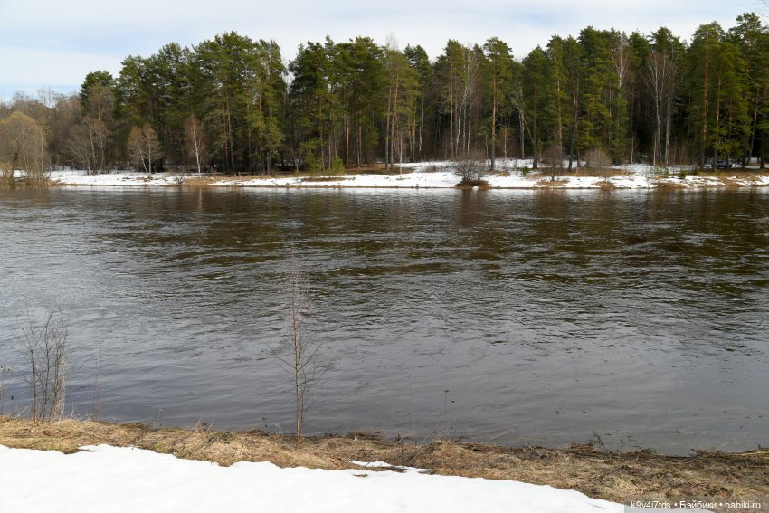 Встреча Весны в Усадьбе "Василёво"