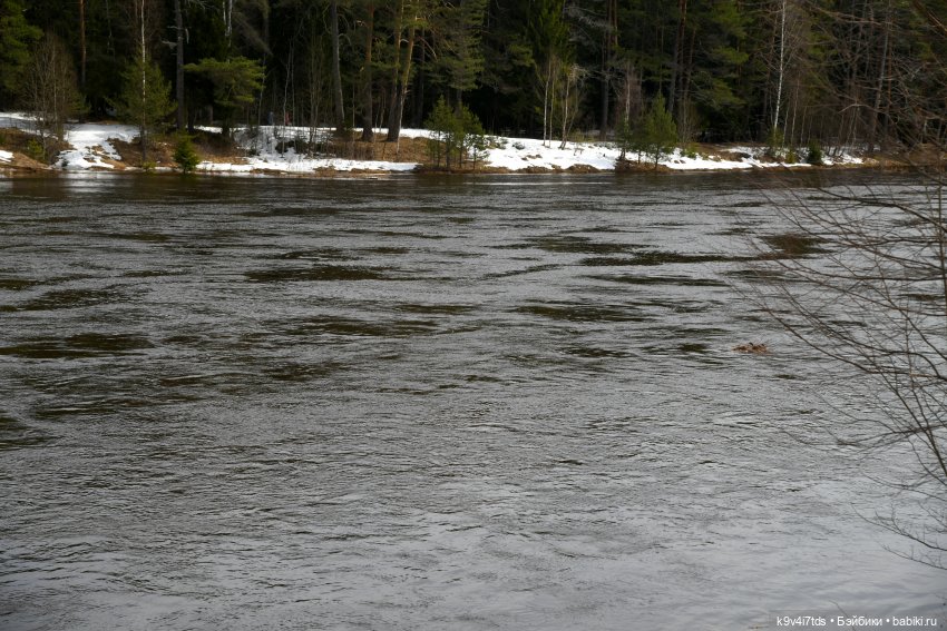 Встреча Весны в Усадьбе "Василёво"
