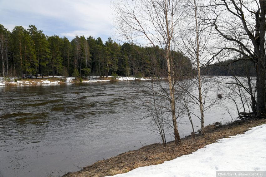 Встреча Весны в Усадьбе "Василёво"