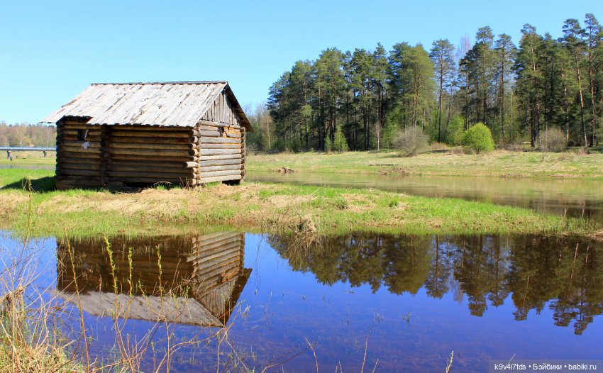 Встреча Весны в Усадьбе "Василёво" (фото 2)