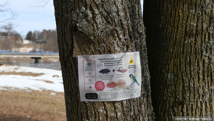 Встреча Весны в Усадьбе "Василёво" (фото 8)