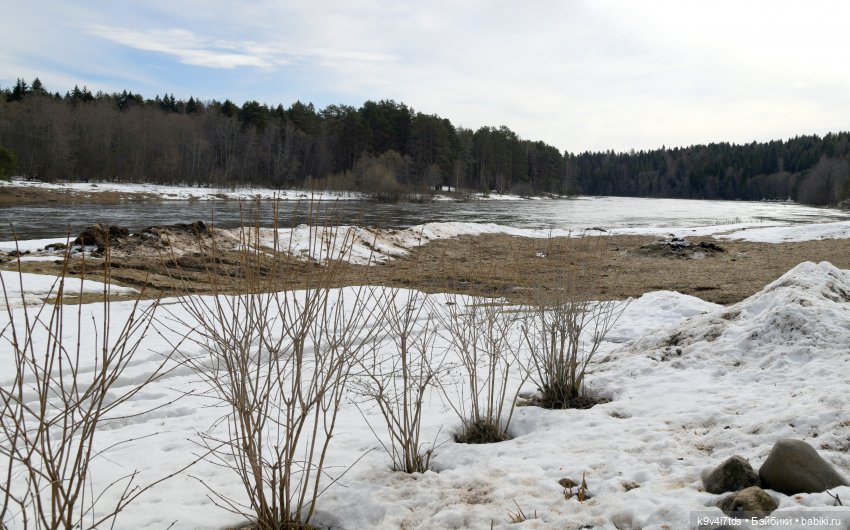 Встреча Весны в Усадьбе "Василёво" (фото 4)