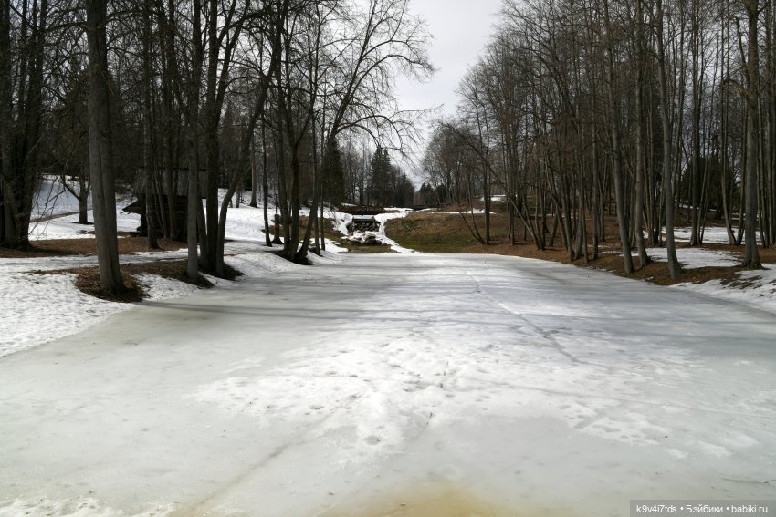 Встреча Весны в Усадьбе "Василёво"