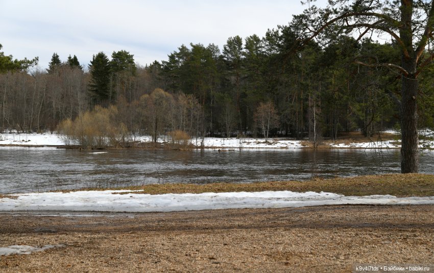 Встреча Весны в Усадьбе "Василёво"