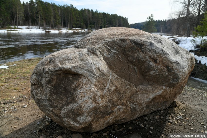 Встреча Весны в Усадьбе "Василёво"