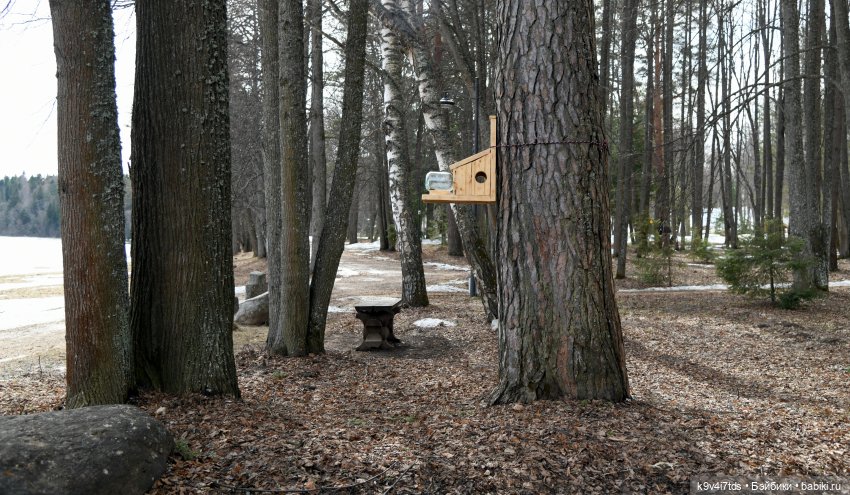 Встреча Весны в Усадьбе "Василёво" (фото 9)