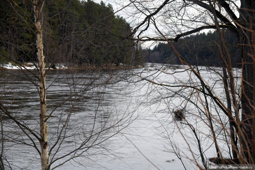 Встреча Весны в Усадьбе "Василёво"