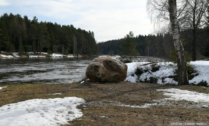 Встреча Весны в Усадьбе "Василёво"