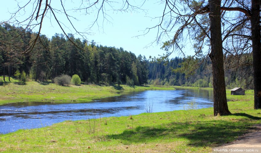 Встреча Весны в Усадьбе "Василёво" (фото 3)
