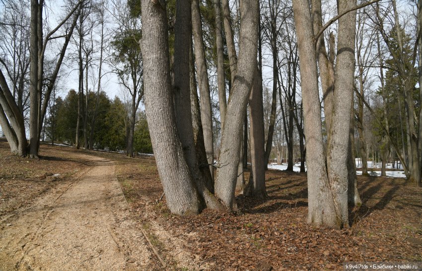 Алеся в "Василёво" — Куклы Sylvia Natterer (Сильвия Наттерер): Gotz (фото 9)