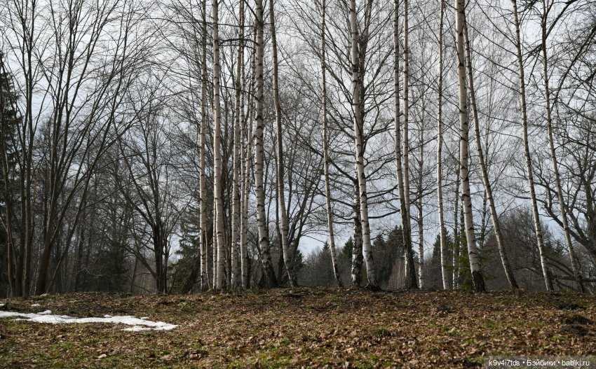 Алеся в "Василёво" — Куклы Sylvia Natterer (Сильвия Наттерер): Gotz