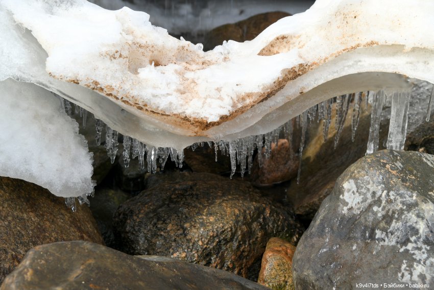 Алеся в "Василёво" — Куклы Sylvia Natterer (Сильвия Наттерер): Gotz