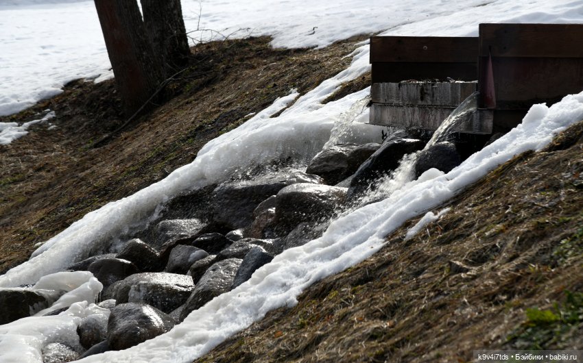 Алеся в "Василёво" — Куклы Sylvia Natterer (Сильвия Наттерер): Gotz (фото 5)