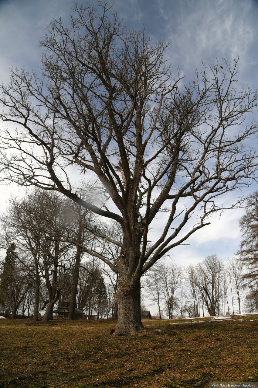 Алеся в "Василёво" — Куклы Sylvia Natterer (Сильвия Наттерер): Gotz