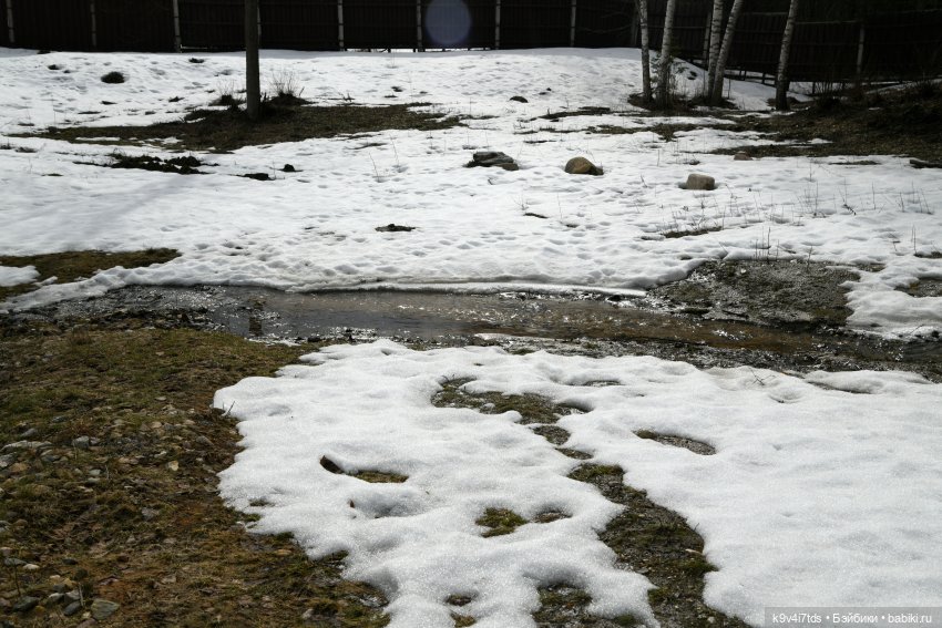 Алеся в "Василёво" — Куклы Sylvia Natterer (Сильвия Наттерер): Gotz