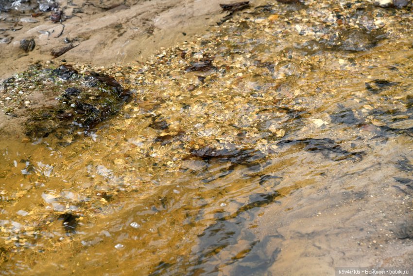 Алеся в "Василёво" — Куклы Sylvia Natterer (Сильвия Наттерер): Gotz