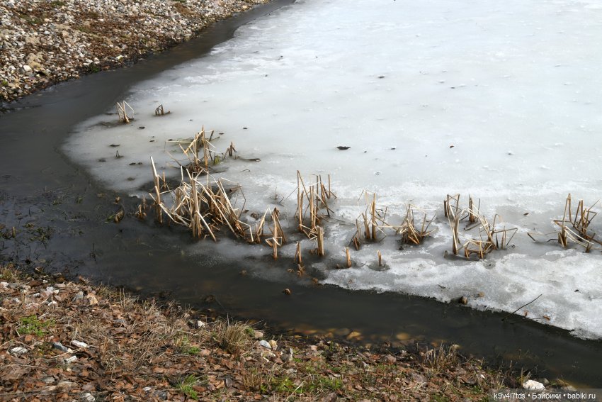 Алеся в "Василёво" — Куклы Sylvia Natterer (Сильвия Наттерер): Gotz