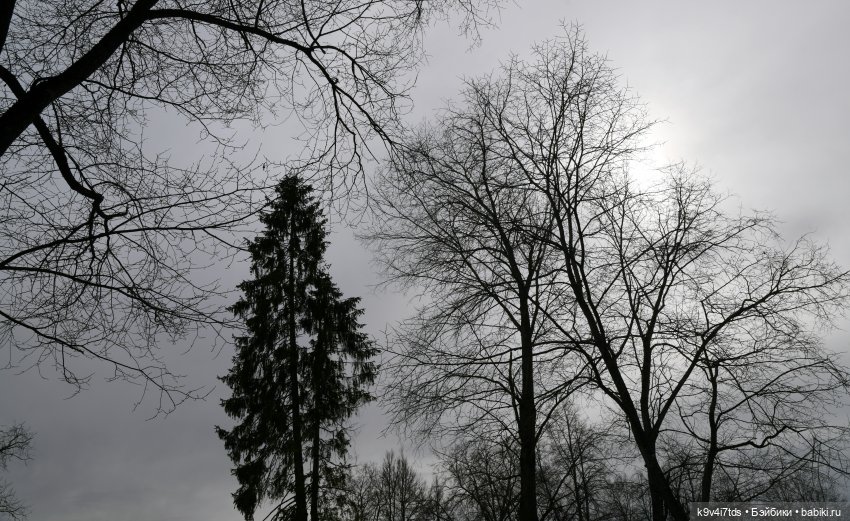 Крекер в "Василёво", заключительная часть (фото 6)