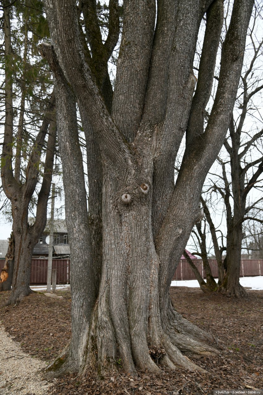 Крекер в "Василёво", заключительная часть (фото 4)