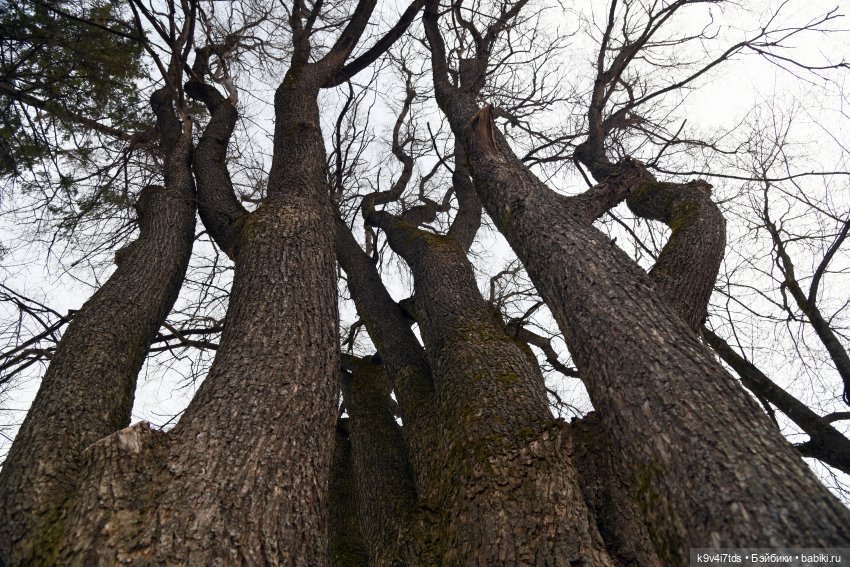 Крекер в "Василёво", заключительная часть (фото 5)