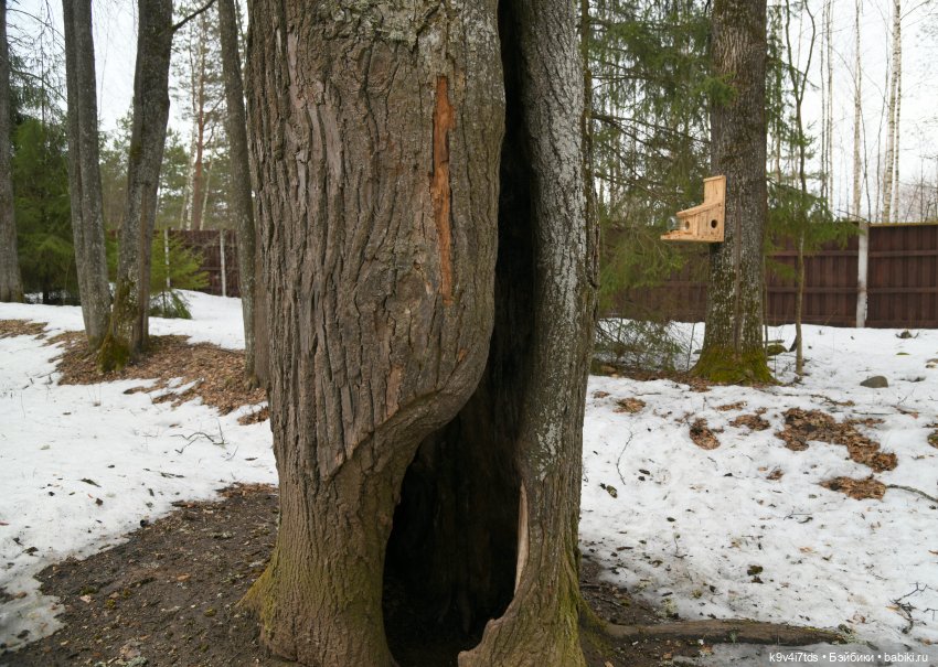 Крекер в "Василёво", заключительная часть