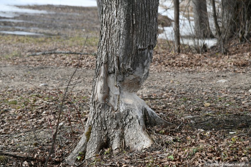 Крекер в "Василёво", заключительная часть (фото 2)