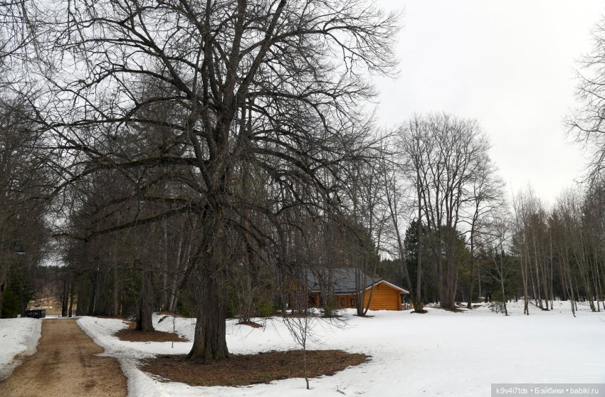 Крекер в "Василёво", заключительная часть