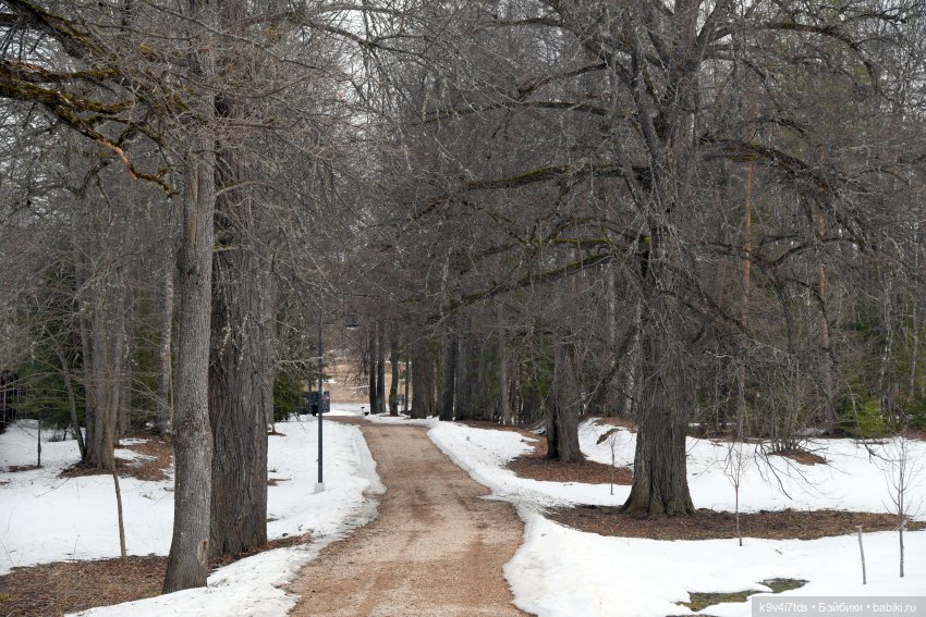 Крекер в "Василёво", заключительная часть