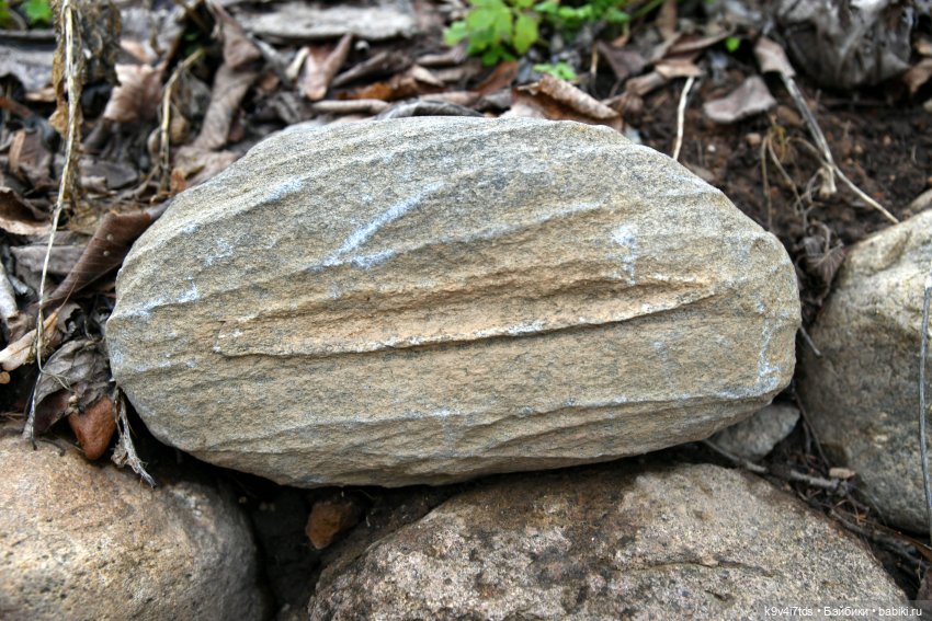 Крекер в "Василёво", заключительная часть