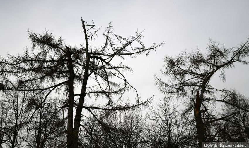 Крекер в "Василёво", заключительная часть (фото 9)