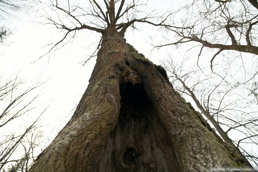 Крекер в "Василёво", заключительная часть