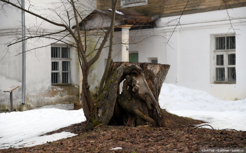 Крекер в "Василёво", заключительная часть
