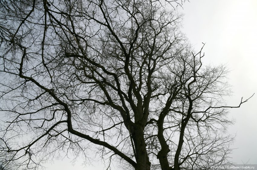 Крекер в "Василёво", заключительная часть