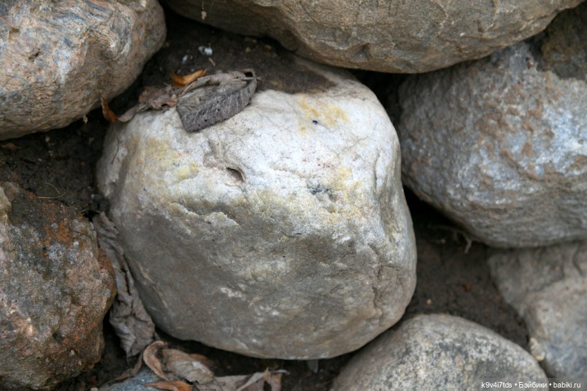 Крекер в "Василёво", заключительная часть