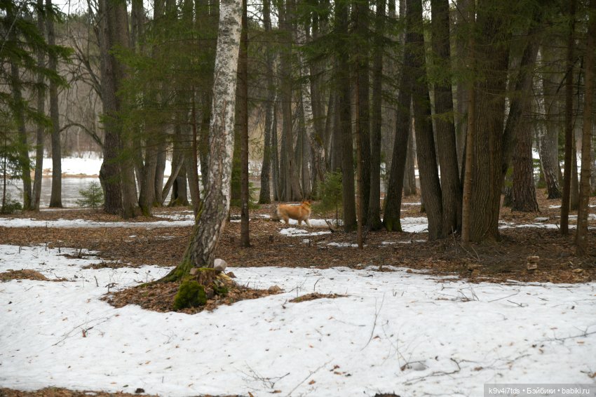 Крекер в "Василёво", заключительная часть