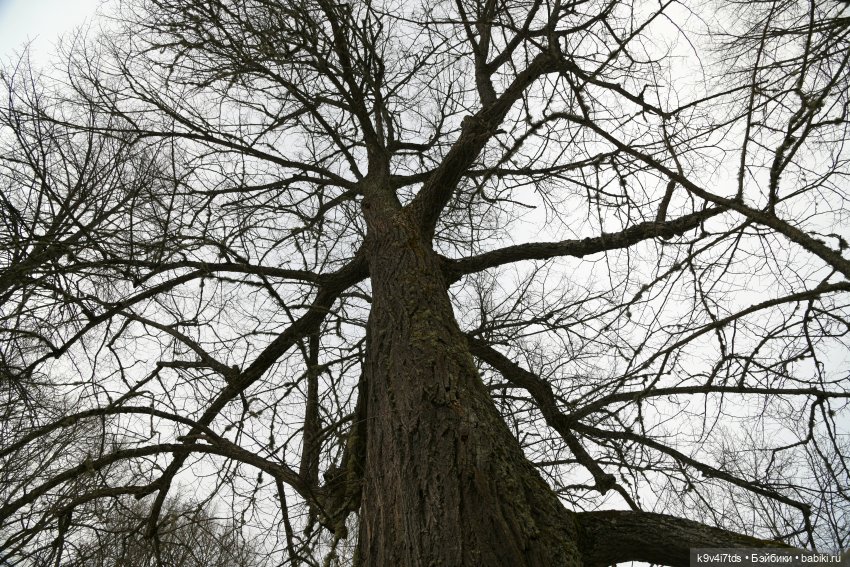 Крекер в "Василёво", заключительная часть