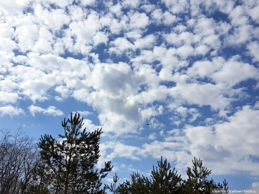 Амели. Фанатское издание 2023 г. Художница Amelie (Амели) от Ruby Red